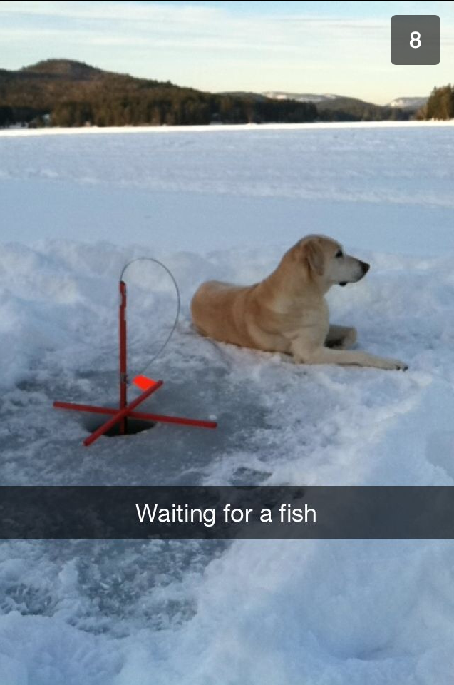 Sierra ice fishing